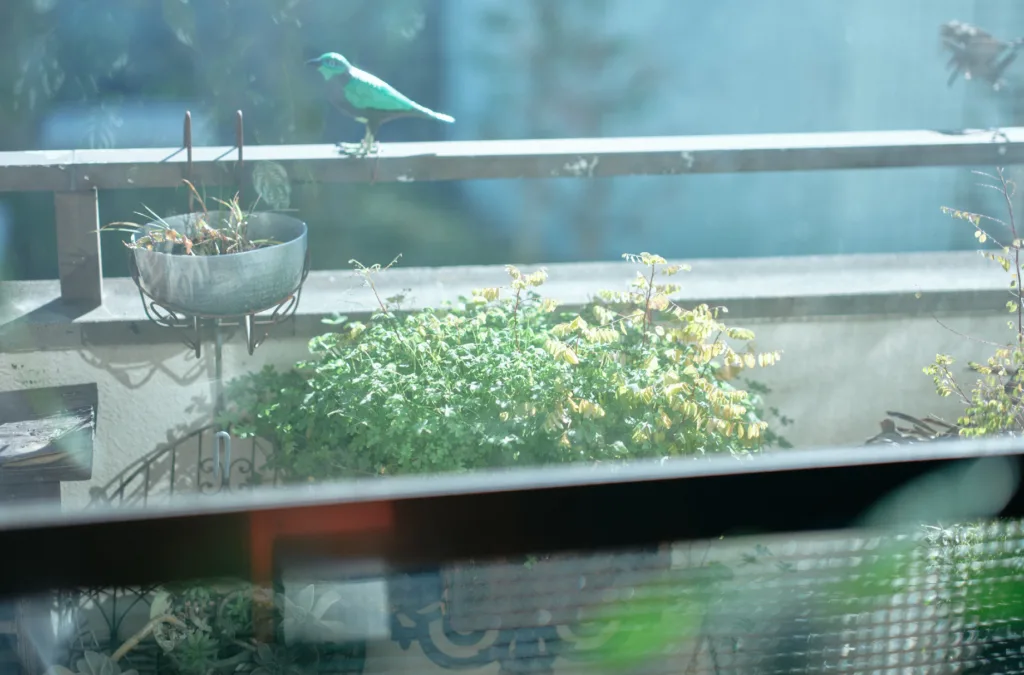 <div class="title80">フリーランサー・稲垣えみ子さん vol.2 </div>「自分がしあわせになる近道は、周囲にやさしくすること」