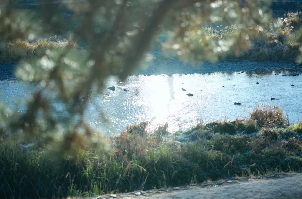 <div class="title80">京都府立医科大学教授・内藤裕二さん vol.3</div>腸内を有効に整える秘訣